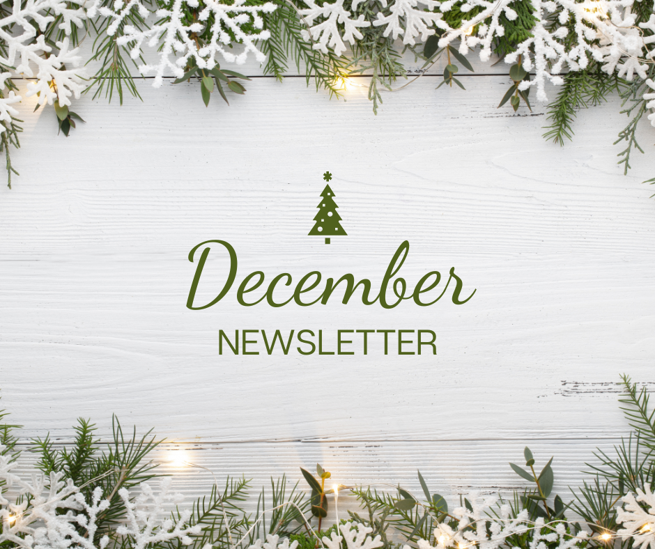 Warm Orange Berry Background for November Newsletter